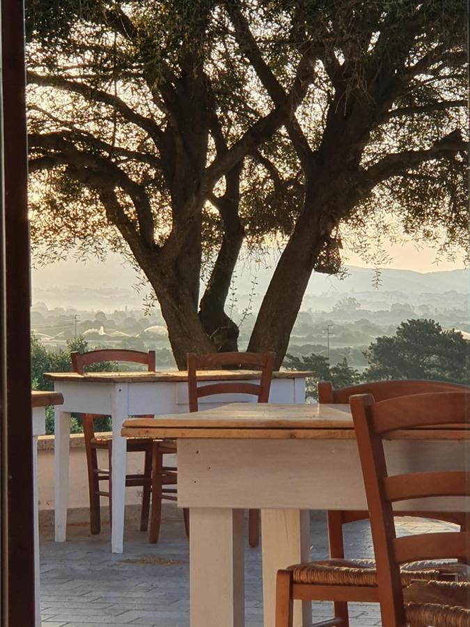 Nacchinono Bed & Breakfast Olbia Luaran gambar