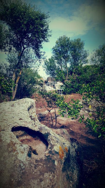 Nacchinono Bed & Breakfast Olbia Luaran gambar