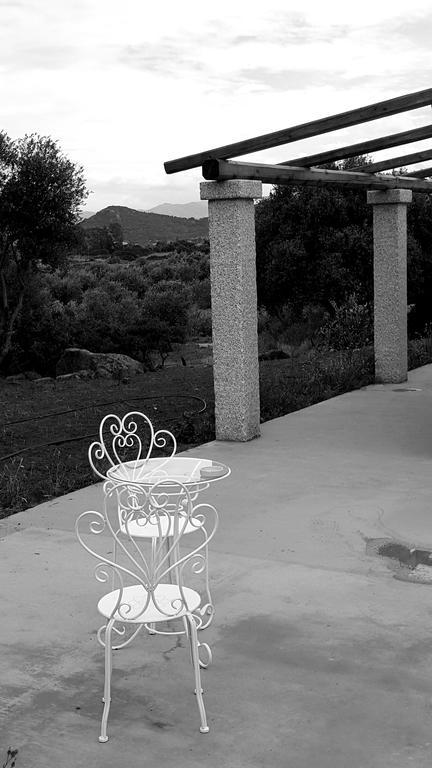 Nacchinono Bed & Breakfast Olbia Luaran gambar
