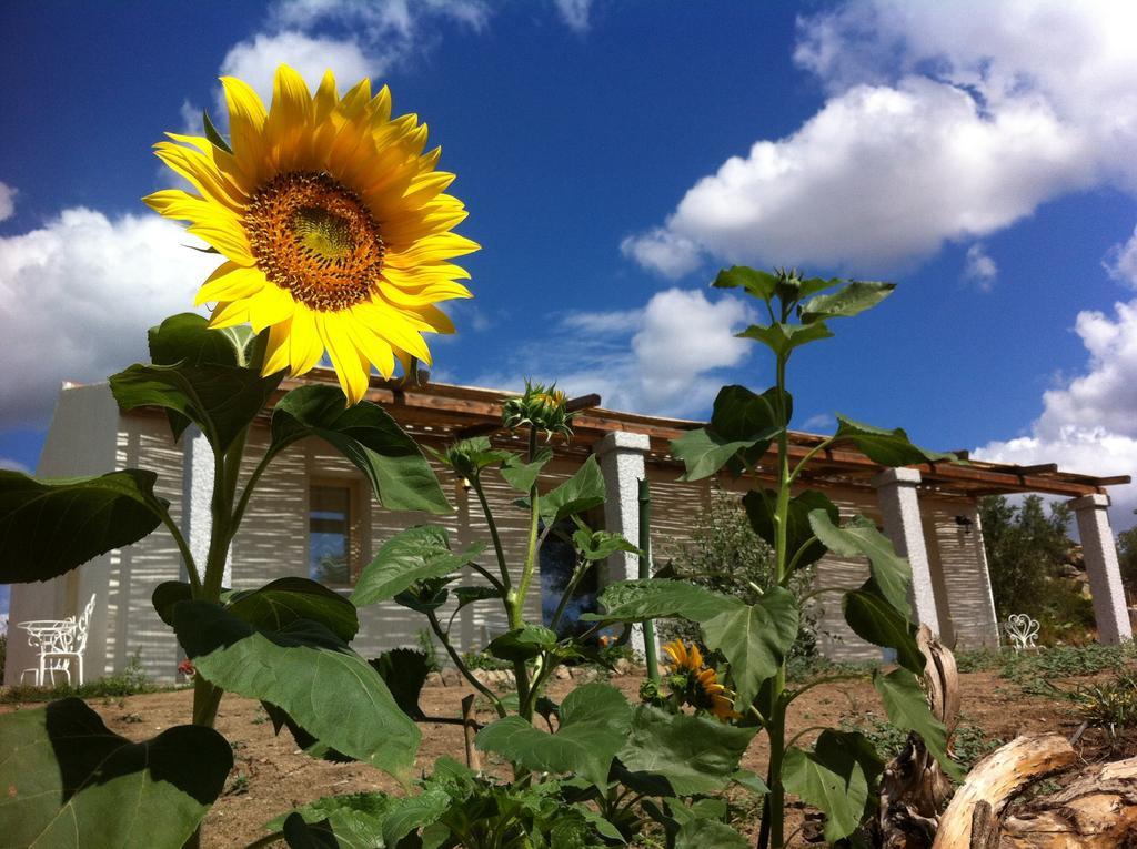 Nacchinono Bed & Breakfast Olbia Luaran gambar